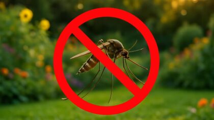 Moustique en gros plan dans un jardin estival, barré d’une croix rouge pour illustrer les solutions naturelles contre leur présence